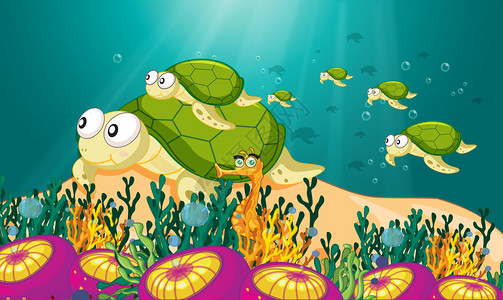 一只乌龟在水中游泳的插图图片