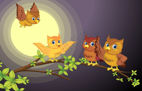 夜晚树枝上四只猫头鹰的插图图片