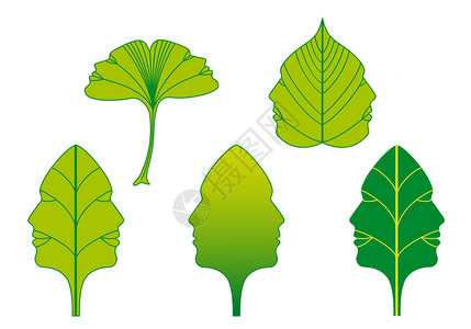 绿色树叶带有人脸的背景图片