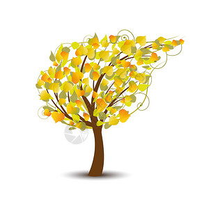 白色背景的秋季树图片