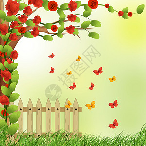 有蝴蝶和玫瑰的花园背景图片