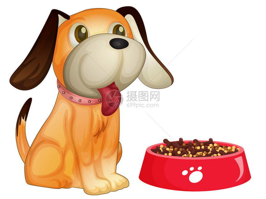 一只狗坐在他的食物旁边的插图图片