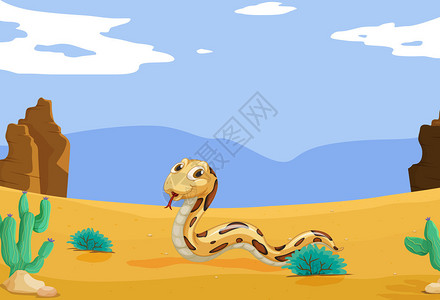 沙漠中一条蛇的插图图片