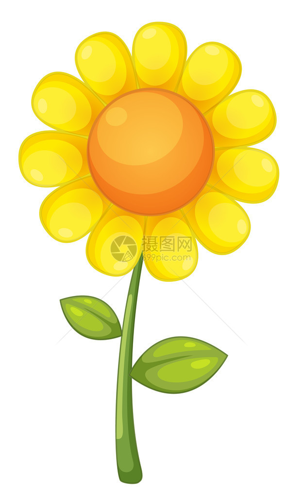 孤立的向日葵插图图片