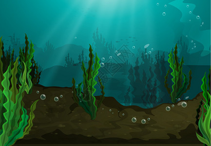淡水栖息地的水下图片