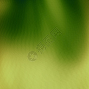 绿色抽象生态背景图片