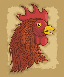 米色垃圾背景上的红公鸡头插图图片