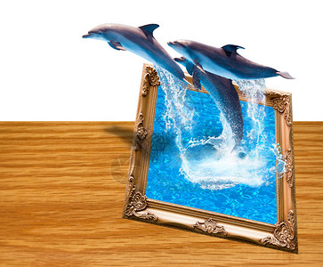 三只海豚跳跃的魔法相框图片