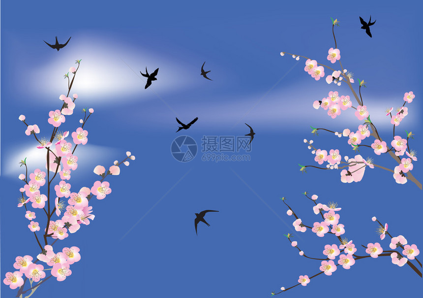 樱桃树花和燕子的插图图片