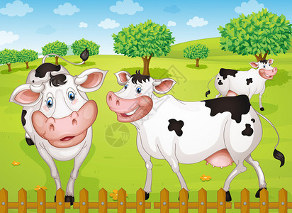 奶牛在绿色农场放牧的插图图片