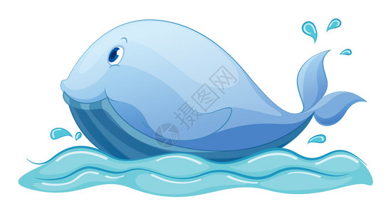 鲸鱼在水中的插图图片
