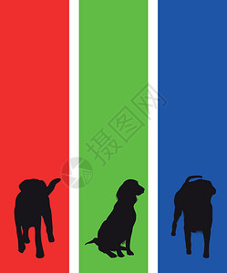 五颜六色的狗横幅图片