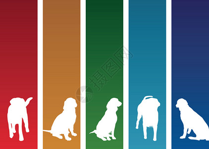 五颜六色的狗横幅图片