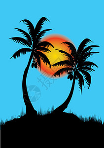 两棵棕榈树有日落图片