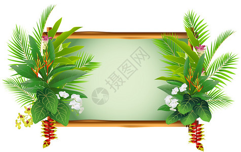 用热带植物装饰图片
