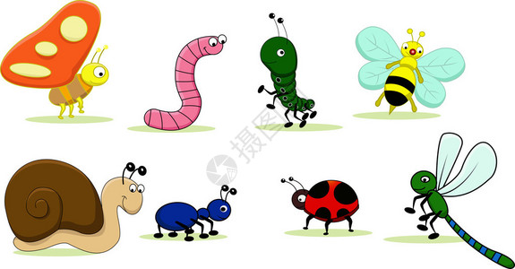 家庭昆虫卡通图片