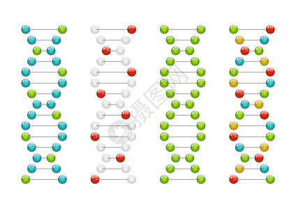 一组有光泽的DNA分子图片