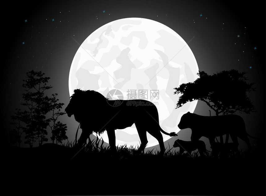 美丽的狮子家族的月亮背图片