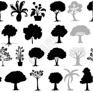 白色背景上各种树的插图Name以图片