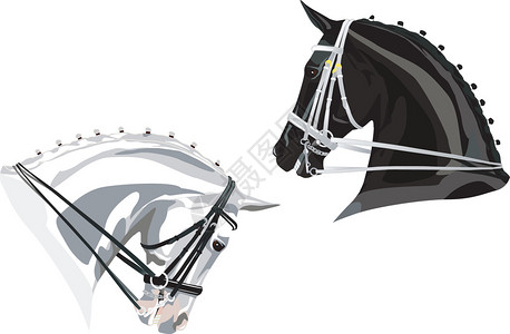 黑马与白缰绳和白马与黑缰绳矢量插图图片