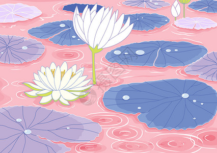 白莲花池塘的插图图片
