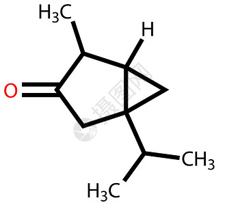 崖柏含有月服香味的化合物插画