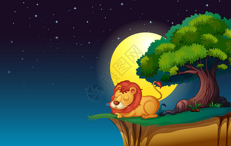 黑夜里的狮子插画图片