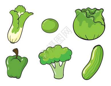 白色背景的绿色蔬菜插图以白色图片