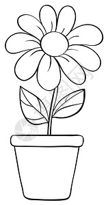 白色背景上的一朵花和一个花盆素描的插图背景图片