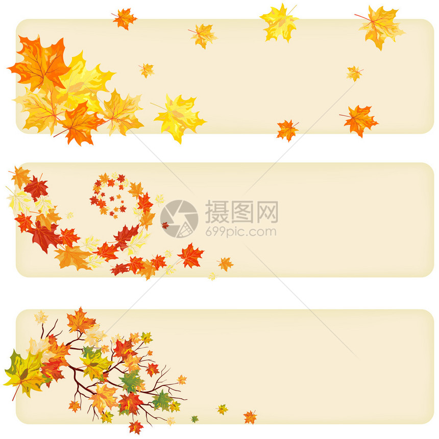 纸横幅上的秋天枫树叶矢量插图图片