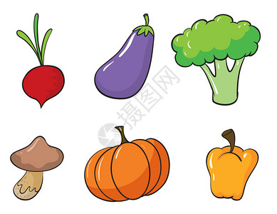 红沟菌白色背景各种蔬菜的插图以白插画