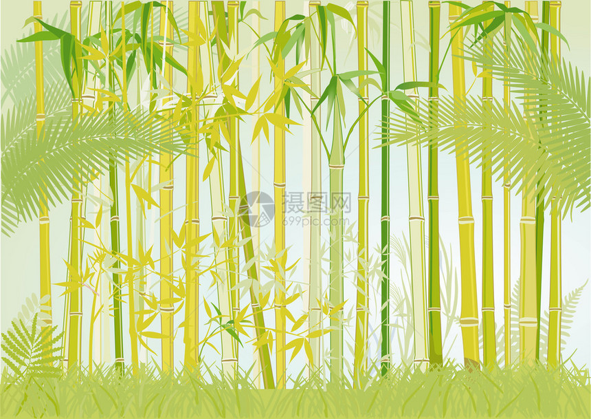 竹木丛林图片
