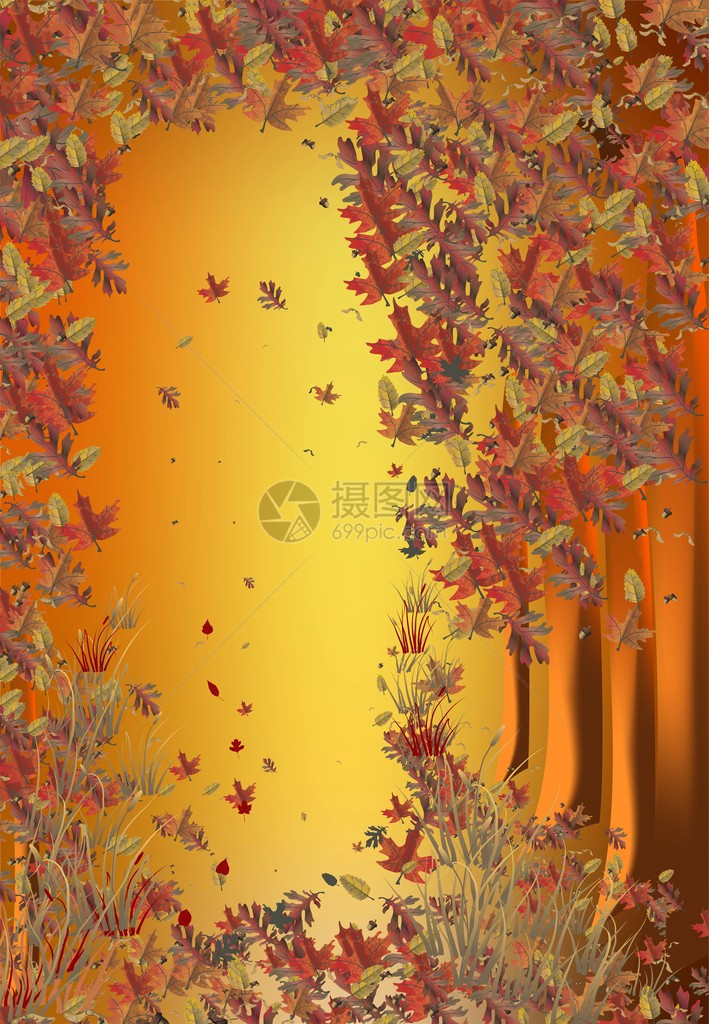 秋天的森林树叶旋转图片