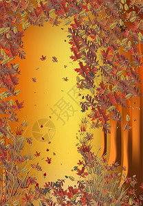 秋天的森林树叶旋转图片