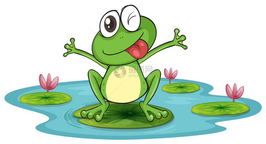 白色背景上的青蛙和水的插图图片