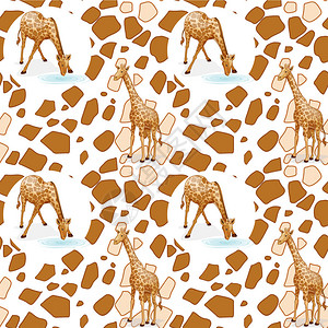 白色背景上的长颈鹿插图图片