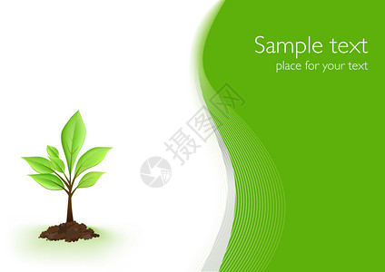 与植物的绿色背景可与连接到生态主题和环境问题的图片