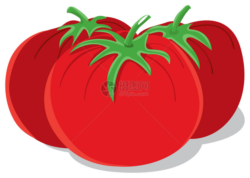 这是三个西红柿的插图图片
