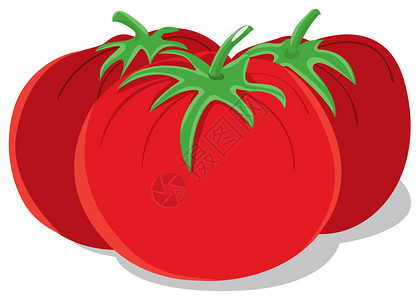 这是三个西红柿的插图背景图片