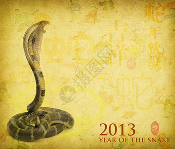 2013蛇年书法背景图片