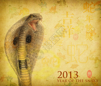 2013蛇年背景图片