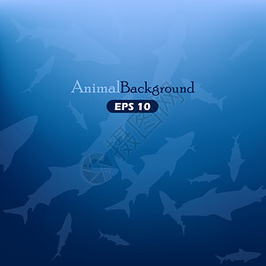 蓝色鲨鱼的动物背景图片