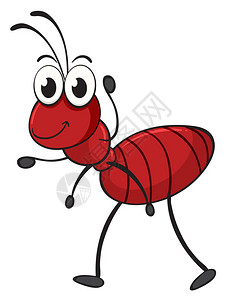 一只蚂蚁在白色背景上的插图图片