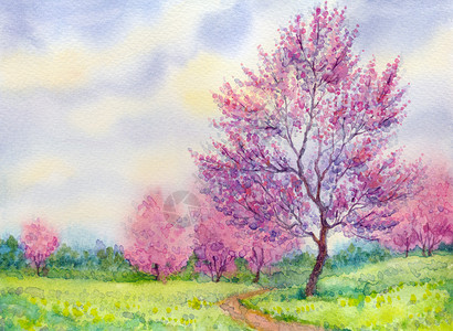 奇达渔村水彩春天风景小路旁田野里开花的树插画