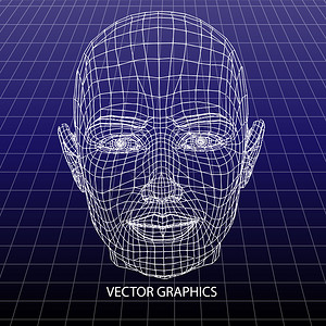 人脸矢量模型图片