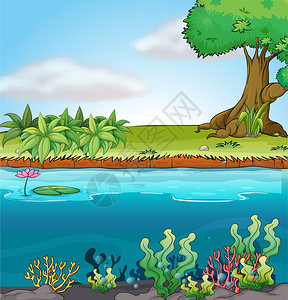 在多彩背景中说明土地和水生环境的情背景图片
