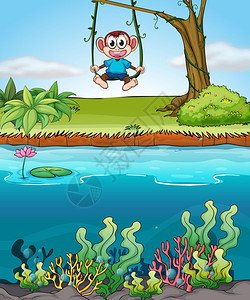 一只猴子在池塘边游泳的插图图片