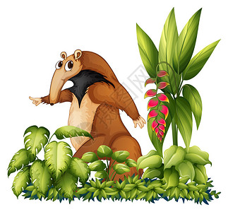食蚁兽与植物的插图图片