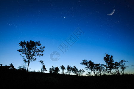 夜日出景观与月亮树木剪影星图片