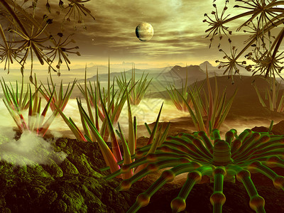 在神秘的热带丛林世界里将植物生命传到山上穿过外星图片